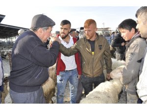 Şuhut Canlı Hayvan Pazarında küçükbaş alım satımlarında durgunluk