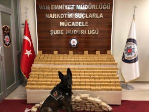 Pul biber ile kamufle edilen eroin, narkotik köpeği Alfa’ya takıldı