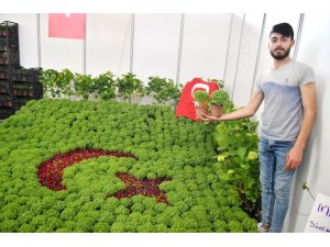 Manisalılar Çiçek Festivaline büyük ilgi gösterdi