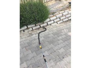 Hastanedeki yılan paniğine itfaiye son verdi