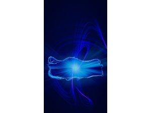 GNÇ’liler’den 100’üncü yıla özel dijital Türkiye haritası