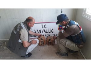 Kafes avcısı jandarmaya takıldı