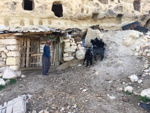 Kayıp küçükbaş hayvanları jandarma buldu