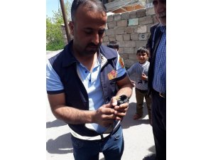 Ağaca takılan kuş, itfaiye tarafından kurtarıldı