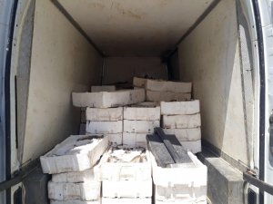 Kahramanmaraş’ta bin 800 kilo kaçak balık ele geçirildi