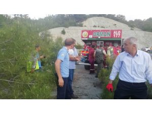 Adıyaman’da yangında 3 hektarlık orman zarar gördü