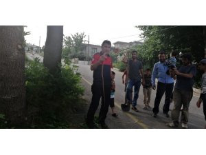 Kuş kafesine girmeye çalışan yılan tellere sıkışınca itfaiye kurtardı