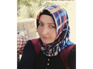 Gelinini öldüren kaynananın ifadeleri şok etti