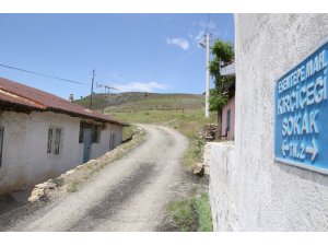 Köpeklerin öldürdüğü, yaşlı kadın ile ilgili başsavcılıktan açıklama