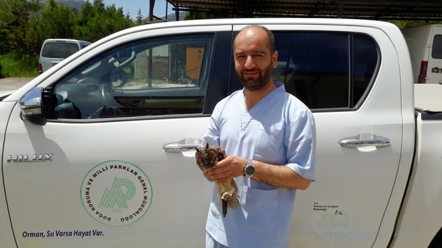 Yaralı bulunan puhu kuşu tedavi altına alındı