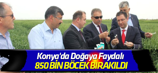 Konya'da Doğaya Faydalı 850 Bin Böcek Bırakıldı