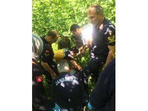 Ordu'da kaybolan yaşlı adam 8 gün sonra sağ bulundu