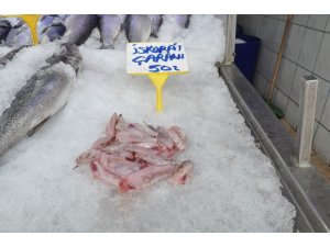 İskorpit tezgahlarda