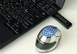 Küçük boyutlu mouse felç ediyor