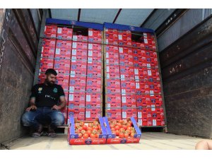 Domates üreticisini kışın sevindirdi, yazın üzüyor