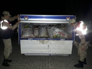 Çaldıran ve Muradiye’de 5 bin 500 kilo balık ele geçirildi