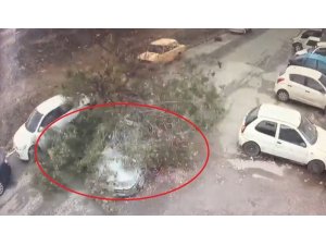 Sanayide test sürüşü yapılan aracın üzerine ağaç devrildi