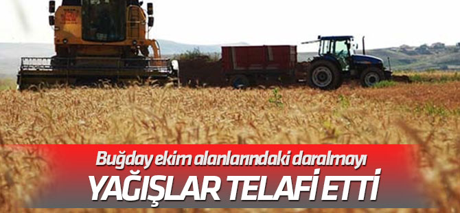 Buğday ekim alanlarındaki daralmayı yağışlar telafi etti