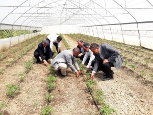 Başkan Tanış: “Sebze ve meyve fiyatları, yerli üretimle düşecek”