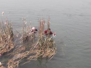 Fırat Nehri’ne atlayan kızı vatandaşlar kurtardı