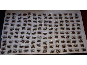 Adana’da uyuşturucu operasyonu: 15 gözaltı