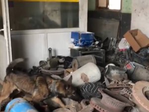 Hurdalıktaki uyuşturucuyu ’Hernandez’ buldu