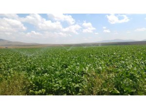 Bireysel sulama sistemlerine yüzde 50 hibe desteği