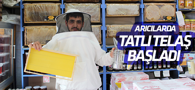 Arıcılarda tatlı telaş başladı