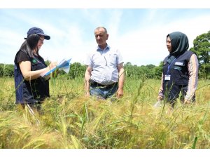 Tohum desteği, çiftçilerin yüzünü güldürüyor