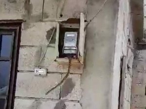 Evin elektrik panosuna giren yılan korkuttu