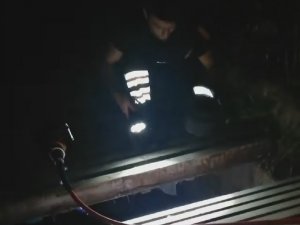 Mazgala sıkışan yavru kediyi itfaiye kurtardı