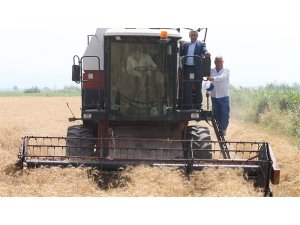 Sağlam “Stratejik ürün, buğdaydan vazgeçilmemeli”