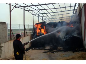 Şarkışla'da besi çiftliğinde yangın