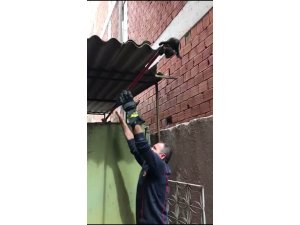 Kalorifer kazanına düşen yavru kediyi itfaiye kurtardı