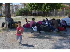 Ayvalık’ta 66 kaçak göçmen yakalandı