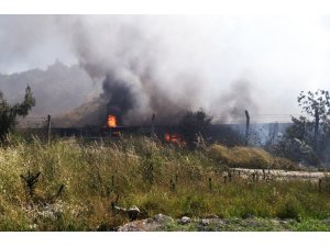 Termik santralin kömür bandında yangın