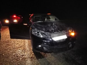 Gercüş’te otomobilin çarptığı eşek telef oldu