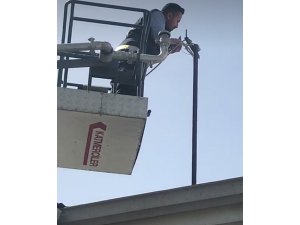 Elektrik teline dolanan güvercin, itfaiye ekipleri tarafından kurtarıldı