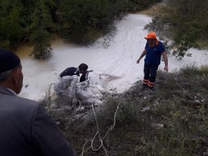 Kireç kuyusuna düşen vatandaş ve büyükbaş hayvan kurtarıldı