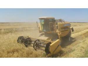 Biçerdöver kontrolleri başladı