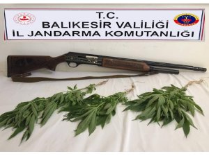 Jandarmadan uyuşturucu operasyonu