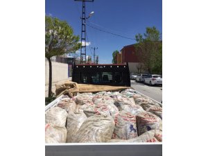 Çaldıran’da 5 ton 625 kilo inci kefali ele geçirildi