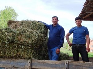 Yoncanın balya fiyatı 18 liraya yükseldi