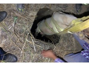 Kuyuya düşen keçiyi itfaiye kurtardı