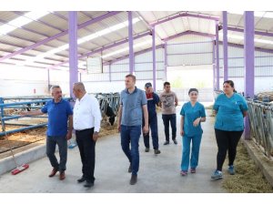 Devlet desteğiyle kurulan kooperatif yılda 600 ton süt üretiyor