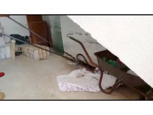 Seydikemer’de itfaiyeden yılan yakalama operasyonu