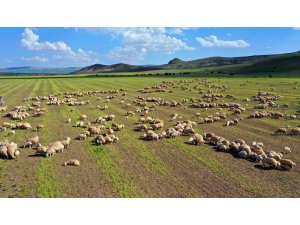 Vali Salih Ayhan, Ulaş ilçesini ziyaret etti