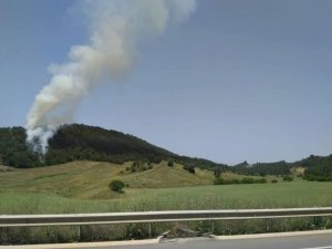 Bilecik’te orman yangını