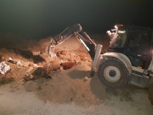Tilkinin ısırdığı ineğin kuduz testi pozitif çıktı
