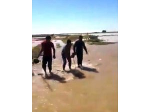 Suruç’ta sulama borusu patladı, tarlalar su altında kaldı